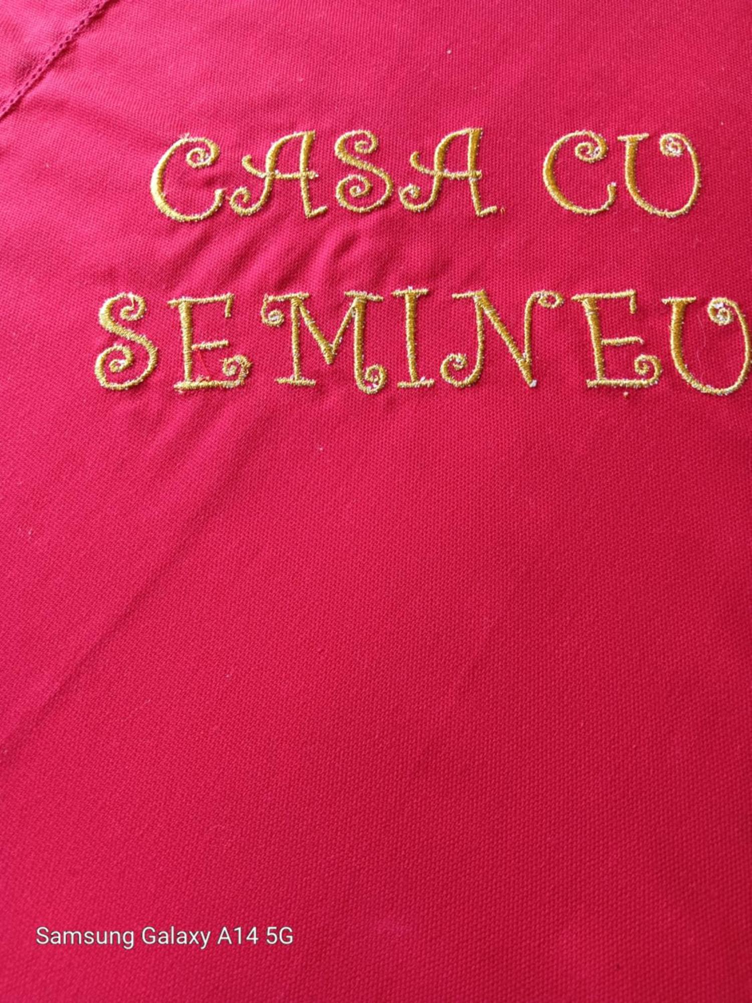 فيلا Casa Cu Semineu Moieciu موغيتْشي دي يوس المظهر الخارجي الصورة